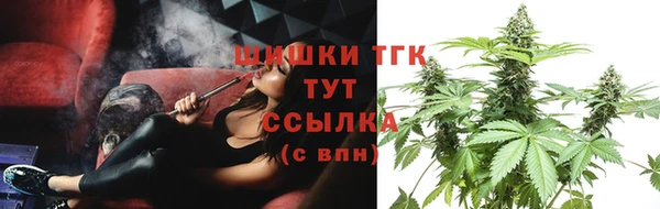 сатива Беломорск