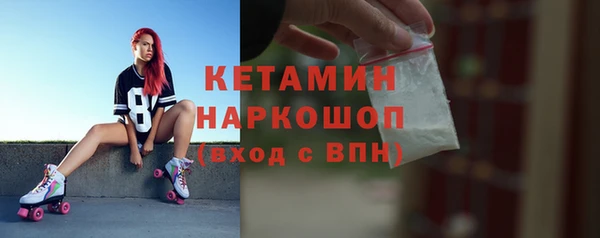 сатива Беломорск