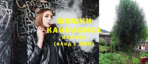 сатива Беломорск