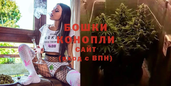 сатива Беломорск