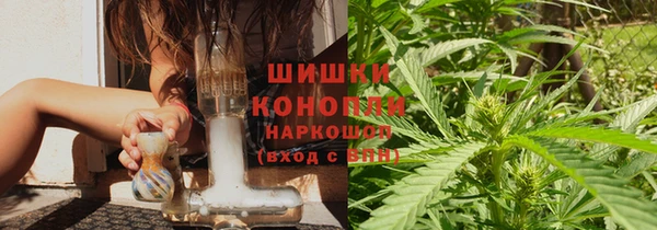сатива Беломорск