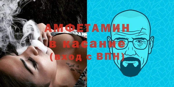 сатива Беломорск
