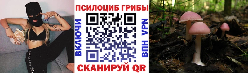где купить   Нестеровская  ссылка на мегу ссылка  Галлюциногенные грибы GOLDEN TEACHER 